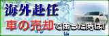 COCCO]΂̍ۂ̎Ԕp