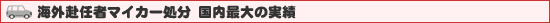 �C�O���C�҃}�C�J�[���� �����ő�̎���